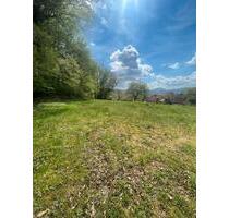 Gartengrundstück - 100,00&nbsp;EUR Kaltmiete, ca.&nbsp; 0,00&nbsp;m&sup2; in Albbruck (PLZ: 79774)