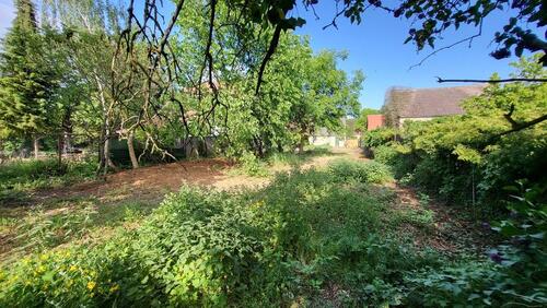 Foto - Einfamilienhaus in Zehdenick zum Kaufen