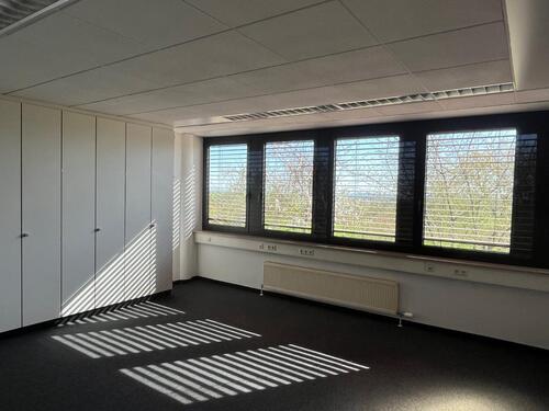 Foto - andere in Leonberg