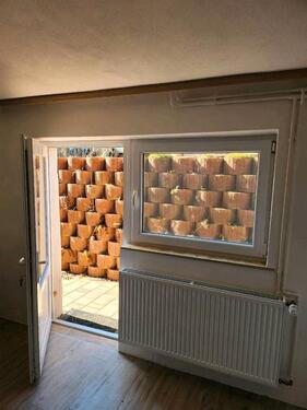 Foto - Souterrain-Wohnung in Reppenstedt zu Vermieten