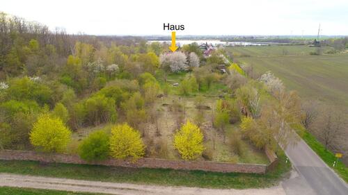 Foto - Einfamilienhaus zum Kaufen in Südliches Anhalt