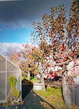 Foto - Kleingarten in Coswig - 3.000,00 EUR Kaltmiete, ca.  0,00 m²