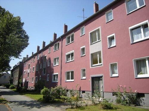 Foto - Bringen Sie Ihr Herz mit, es wird sich wohlfühlen!