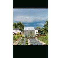 Kleingarten Grundstück 400qm - 4.500,00 EUR Kaltmiete, ca.  0,00 m² in Heidenau (PLZ: 01809)