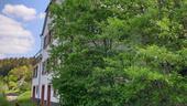 Foto - 5 Zimmer Einfamilienhaus zum Kaufen in Heidelberg