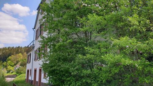 Foto - 5 Zimmer Einfamilienhaus zum Kaufen in Heidelberg
