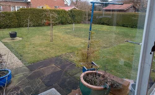 Foto - Einfamilienhaus in Papenburg zum Kaufen