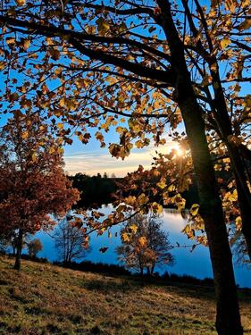 Foto - andere in Langenfeld (Rheinland) zur Miete