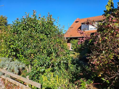 Foto - 4 Zimmer Doppelhaushälfte zum Kaufen in Schwülper