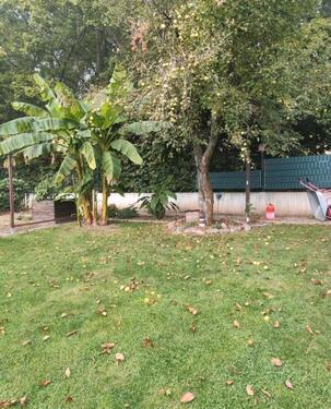 Foto - Grundstück in Leipzig zur Miete