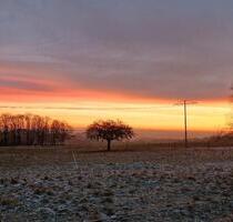 Ferienwohnung auf Pferdehof - 90,00 EUR Kaltmiete, in Sankt Katharinen (PLZ: 53562)