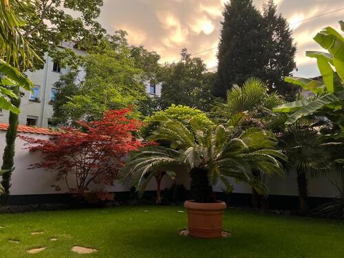 Foto - Charmante Altbau Erdgeschosswohnung mit Garten