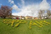 Foto - Jugendstilvilla * Top Lage * Liebhaberobjekt