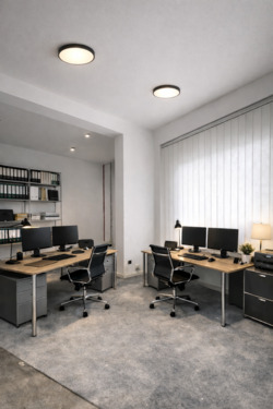 Foto - andere in Celle zur Miete