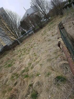 Foto - Grundstück in Weida zur Miete