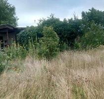 Dornröschengarten abzugeben - 400,00 EUR Kaltmiete, ca.  0,00 m² in Plattenburg (PLZ: 19339)