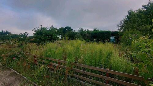 Foto - Grundstück in Plattenburg zur Miete