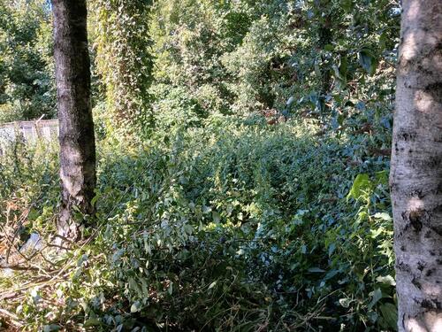 Foto - Grundstück zur Miete in Elmenhorst/Lichtenhagen