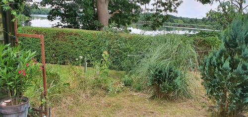 Foto - Grundst&uuml;ck zum Kaufen in Leipzig