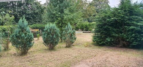 Foto - Grundst&uuml;ck in Leipzig