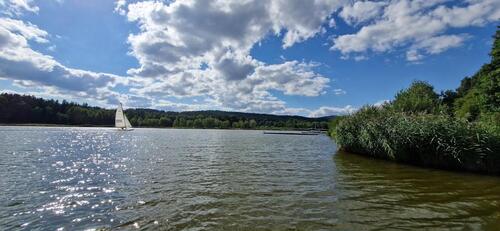 Foto - 5 Zimmer Einfamilienhaus in Treffelstein