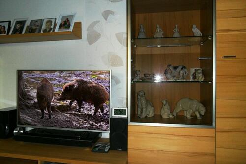 Foto - 2.5 Zimmer Erdgeschoßwohnung in Broderstorf