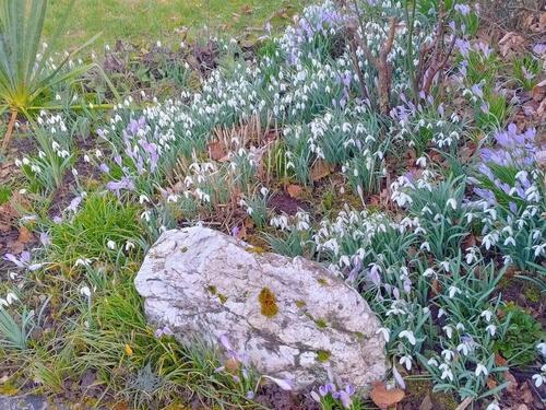 Foto - 2-Zimmer-Wohnung mit Terrasse und Weitblick