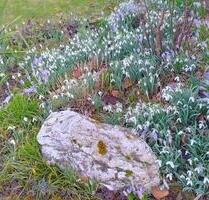2-Zimmer-Wohnung mit Terrasse und Weitblick - Pelm