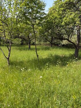 Foto - Schwaikheim: Grundstück zu verpachten - idyllisch im Grünen