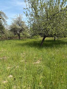 Foto - Grundst&uuml;ck in Marbach am Neckar zur Miete