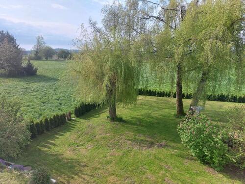 Foto - 2 Zimmer Wohnung - 810,00 EUR Kaltmiete,