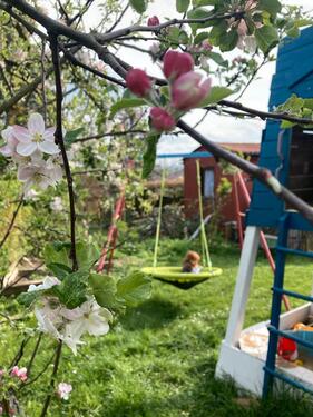 Foto - Kleingarten Uhlandweg - 500,00&nbsp;EUR Kaltmiete, ca.&nbsp; 0,00&nbsp;m&sup2;