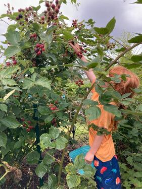Foto - Grundst&uuml;ck zur Miete in Mühlhausen (Thüringen)