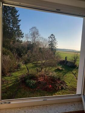 Foto - WG Zimmer in familiärer Berufstätigen WG