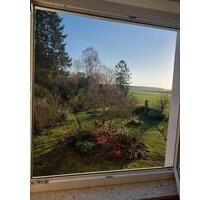 WG Zimmer in familiärer Berufstätigen WG - Ronnenberg