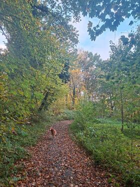 Foto - Urlaub und Ferienwohnung an der Lahn