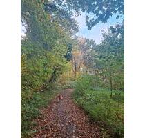 Urlaub und Ferienwohnung an der Lahn - Tessin