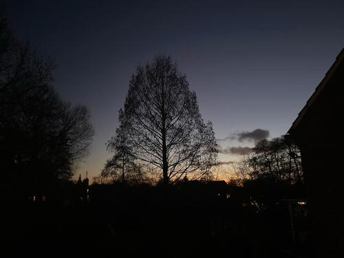 Foto - Mitbewohnerinnen für Hausgemeinschaft