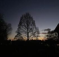 Mitbewohnerinnen für Hausgemeinschaft - Westerstede