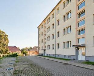 Ländlich wohnen, stadtnah leben – charmante Wohnung zu vermieten ! *Jetzt 2 NKM sparen!* - Bad Frankenhausen/Kyffhäuser