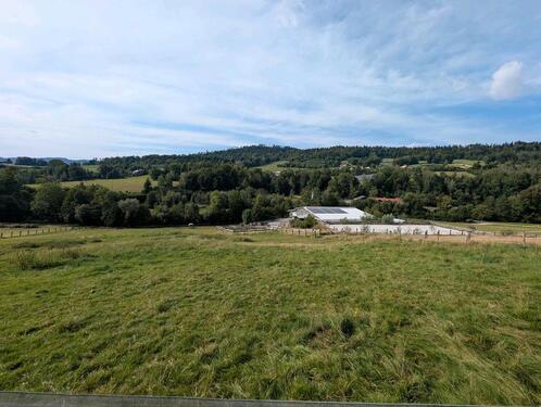 Foto - Biete top Reitanlage - 15,00 EUR Kaltmiete,