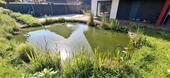 Foto - 6 Zimmer Einfamilienhaus in Achern