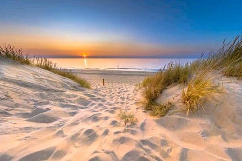 Foto - Chalet Ferienhaus in Zeeland b.Renesse