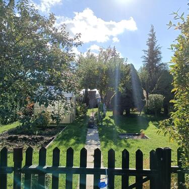 Foto - Grundst&uuml;ck zur Miete in Müncheberg