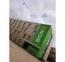 1-Raum-Wohnung in Greifswald ab 01.07.