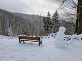 Foto - 