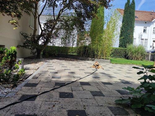 Foto - Einfamilienhaus in Hohentengen am Hochrhein zum Kaufen