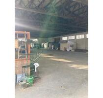 Große Lagerhalle zu vermieten - 1.500,00 EUR Kaltmiete, in Zittau (PLZ: 02763)