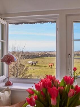 Foto - andere zur Miete in Sylt