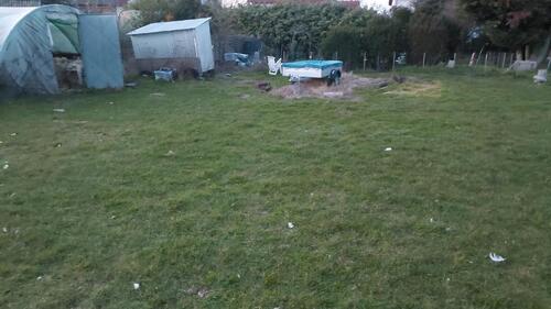 Foto - Gartengrundstücke - 50,00&nbsp;EUR Kaltmiete, ca.&nbsp; 0,00&nbsp;m&sup2;